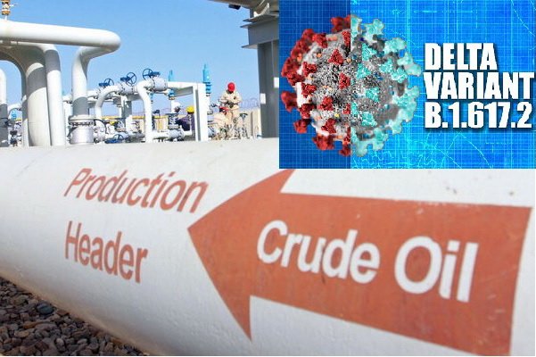 World Crude Oil Prices Fall Sharply Delta COVID-19 Pandemic
